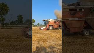 complete wheat harvesting #viral #video  #youtube #ytshorts #2023 #crop #reels #india #pakistan