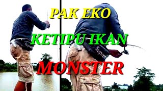 PAK EKO KETIPU IKAN MONSTER#mancingmania#@dickychannel151