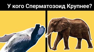 20 Самых Невероятных Фактов которые Вы не знали!