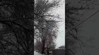 Қаңтардағы қыс мезгілі |  Зимний сезон в январе |  Winter season in January #зима #Winter #Snow