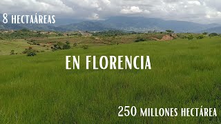 FINCA GANADERA EN FLORENCIA