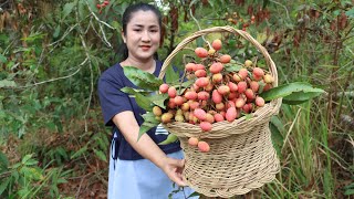 Have you ever picked or eaten Wild Lychee fruit before? - Yummy wild Lychee fruit recipe