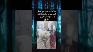 كاسبر (xxx) قاتل الذئاب ⚠️