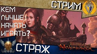 Neverwinter, Кем лучше начать играть? Класс Воин Страж