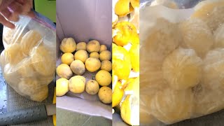 🍋 Lemon Tree Harvest 🍋 Lemons 🍋 Peel - Ziploc Bag - Frozen For Smoothies Vitamix Vitamin C Content