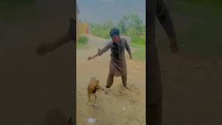 #funny #viral #youtubeshorts #shortvideo #shortsvideo