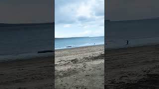 Golden sand on Mission Bay Beach in Waitemata Harbour | Auckland