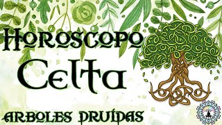 Horóscopo celta, los druidas y los árboles celtas. 🌳Conoce que árbol celta es tu guía y guardián.🌳