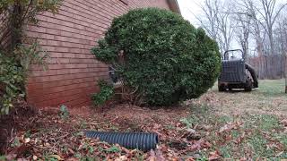 Pulling out a shrub with a lawn mower