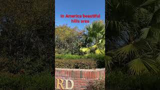 In America beautiful hills area