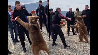 FULL FREE FIGHT: Khabib vs Bear 2 full highlights