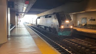 New Jersey Transit Secaucus Junction Lower Level Trains (11/5/21)