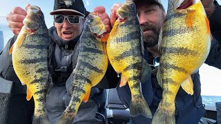 Spring Jumbo Perch With Taro Murata