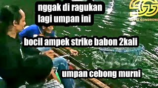 umpan jitu gt lele cebong || bocil strike babon sampe 2kali