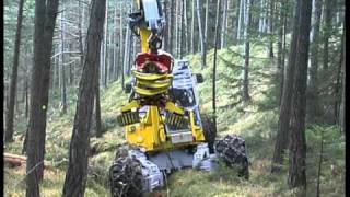 Fahrsequenzen - Driving scenes in the forest of the Menzi Muck Harvester A91