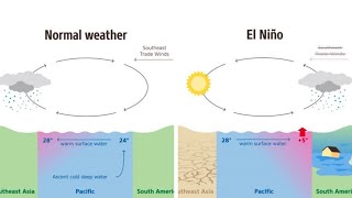 What is El Nino and La Nina | El Nino effect in Pakistan #climatechange