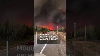 Пожары в Канаде, май 2024. Эвакуация населения... #firefighter #fire