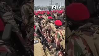 Momen Kopassus Kompak YEL - YEL         #shorts    #ZTV