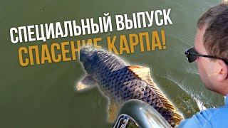 СПЕЦВЫПУСК. Спасение карпа!