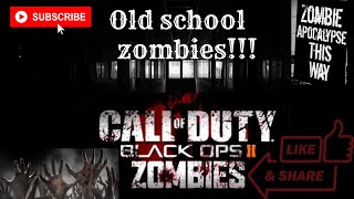 Black Ops 2 Zombies! come chat!!!