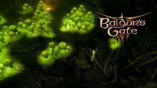 Saving the Mushroom Picker  |  BG3  |  Patch 6