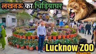 Lucknow Zoo || लखनऊ का चिड़ियाघर || Lucknow Zoological Garden बब्बर शेर in Lucknow Zoo