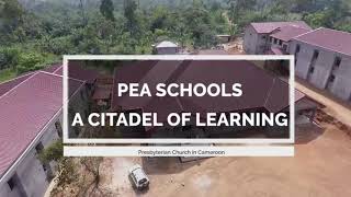 PEA Schools   A citadel of learning: Admission for 2020/2021 academic year