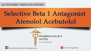 Selective Beta 1 Antagonist Atenolol Acebutolol