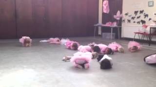 Sleepy Bunnies at Baby Ballet