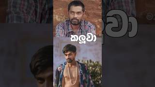 වියළී කලුවා සැබෑ ජීවිතේ #shortvideo