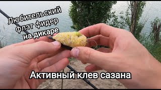 АКТИВНЫЙ КЛЕВ НА СЫРДАРЬЕ//РЫБАЛКА НА САЗАНА, КАРАСЯ