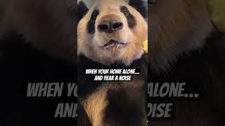 When Your Home Alone. #heard #pandapanda #pandas #eatingice #applewatch #homealone #whatstrending