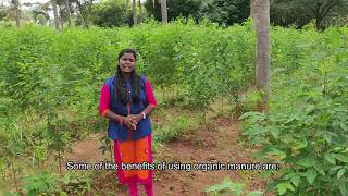 Organic Manure at Home