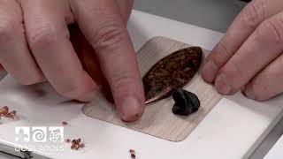 Cool Tools | Creating a Pendant with Apoxie® Clay by Christi Friesen