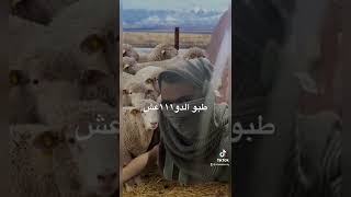 حال زلم الانبار واهل الصنة في ٢٠١٤