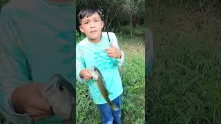 Pesca de orilla