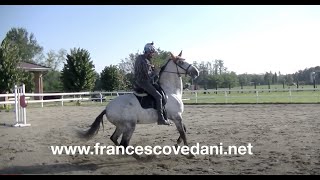 Francesco Vedani Equitazione - Tranquillizzare un cavallo impaurito da sella