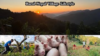 Rural Nepal village | Nepali Family UK | Nepali Village Life | Organic Farm | Panauti Homestay Nepal