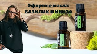 Эфирные масла базилика и кинзы