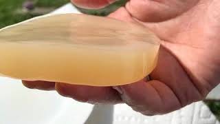 IBIV Organic Kombucha Scoby Live Strong Starter Tea Culture for Healthy Organic Raw Premium Fermente