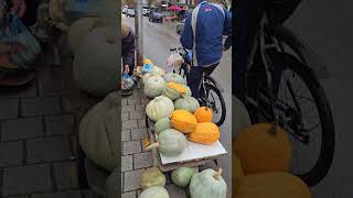 Market Day in Tetovë, Tetovo, North Macedonia - Ditë tregu në Tetovë (November 14, 2024)