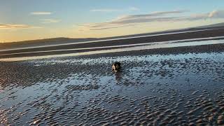 Walking on the beach at West Kirby with Stella