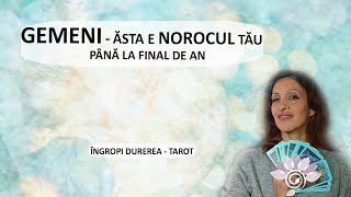 GEMENI: Norocul tău la finalul de 2024 - Tarot - Îngropi Durerea / Zodii de AER - Horoscop