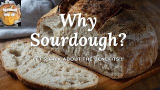 Why Sourdough? Let's talk BENEFITS of #sourdough! Come Sourdough with  @YogiHollowFarm  @MtnGrandma