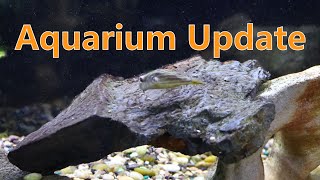 Aquarium Update 2023