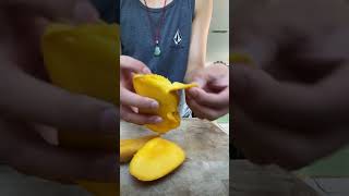 Me cutting a mango ig #shorts