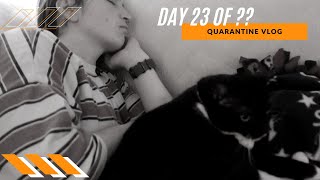 Quarantine Vlog Day 23 | backpack pull workout, instacart fail, quinoa carrot muffins