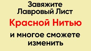 Завяжите Лавровый Лист красной нитью и многое измениться | Ритуал на лавровый лист.