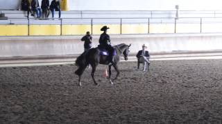 NOVICE AMATEUR HORSEMANSHIP. IAF 6789