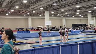 Jersie A Level 10 Floor Winter Classic 9.350